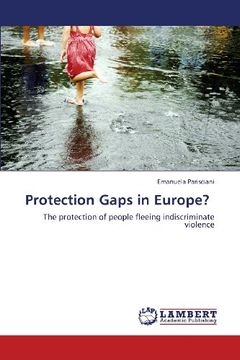 portada Protection Gaps in Europe?