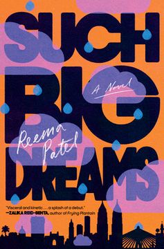 portada Such big Dreams: A Novel (in English)