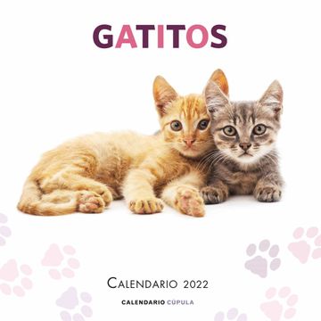 portada Calendario Gatitos 2022 (in Spanish)