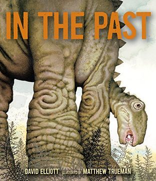 portada In the Past: From Trilobites to Dinosaurs to Mammoths in More Than 500 Million Years (en Inglés)