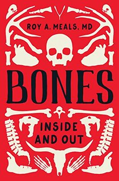 portada Bones: Inside and out 