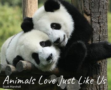 portada Animals Love Just Like Us (in English)