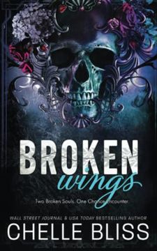 portada Broken Wings: Special Edition (Open Road) (in English)