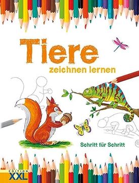 portada Tiere Zeichnen Lernen: Schritt für Schritt (in German)