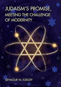 portada Judaism s Promise, Meeting The Challenge Of Modernity (en Inglés)
