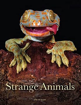portada Strange Animals