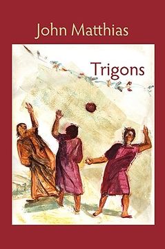 portada trigons (in English)