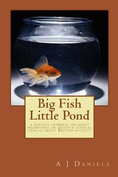 portada Big Fish Little Pond: Brought together by a government Cell as a result of serious crime the characters are passionate about issues at the h (en Inglés)