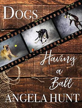 portada Dogs Having a Ball (en Inglés)