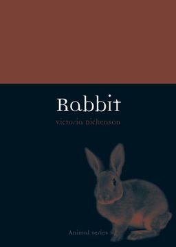 portada Rabbit (Animal Series)