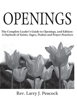 portada Openings Leader Guide 2 (en Inglés)