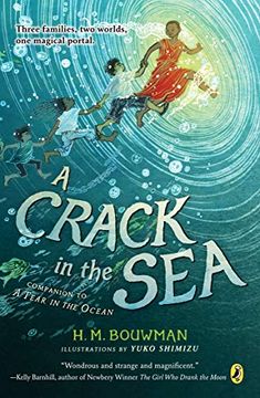 portada A Crack in the sea (en Inglés)