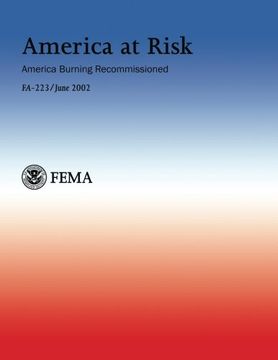 portada America at Risk:  America Burning Recommissioned: FA-223