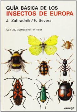 portada Guía Básica de los Insectos de Europa (in Spanish)