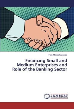 portada Financing Small and Medium Enterprises and Role of the Banking Sector