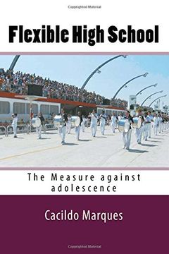 portada Flexible High School: The Measure against adolescence