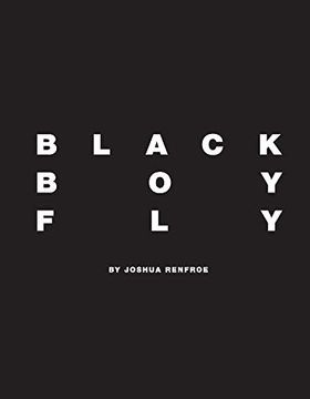 portada Black boy fly 