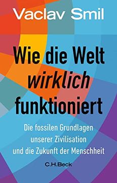 portada Wie die Welt Wirklich Funktioniert (in German)