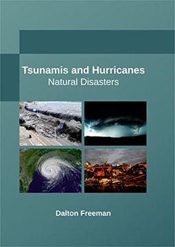portada Tsunamis and Hurricanes: Natural Disasters (in English)