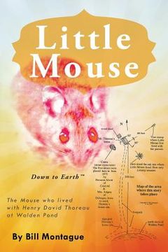 portada Little Mouse (en Inglés)