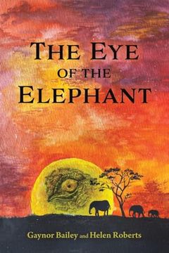 portada The eye of the Elephant (en Inglés)