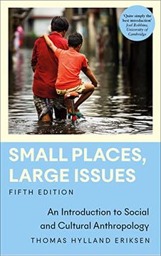 portada Small Places, Large Issues: An Introduction to Social and Cultural Anthropology (Anthropology, Culture and Society) (en Inglés)