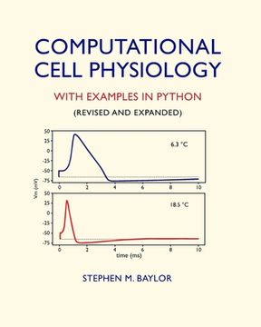 portada Computational Cell Physiology: With Examples In Python (en Inglés)