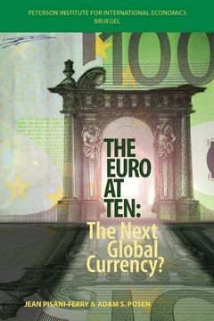 portada The Euro at Ten: The Next Global Currency? (in English)