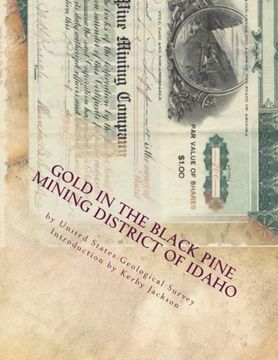 portada Gold in the Black Pine Mining District of Idaho