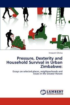 portada pressure, dexterity and household survival in urban zimbabwe (en Inglés)