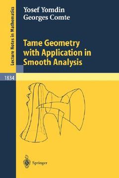 portada tame geometry with application in smooth analysis (en Inglés)