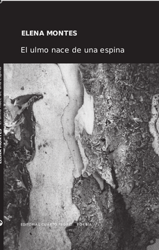 portada El ulmo nace de una espina (in Spanish)