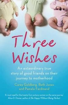 portada three wishes: an extraordinary true story of good friends on their journey to motherhood. by carey goldberg, beth jones, pamela ferd (en Inglés)