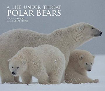 portada Polar Bears: A Life Under Threat (en Inglés)