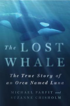 portada the lost whale: the true story of an orca named luna