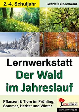 portada Lernwerkstatt Der Wald im Jahreslauf: Kopiervorlagen zum Einsatz im 2.-4. Schuljahr (in German)
