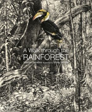 portada A Walk Through the Rain Forest (in English)