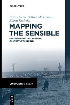 portada Mapping the Sensible: Distribution, Inscription, Cinematic Thinking (en Inglés)