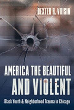 portada America the Beautiful and Violent: Black Youth and Neighborhood Trauma in Chicago