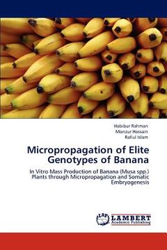 portada micropropagation of elite genotypes of banana (en Inglés)