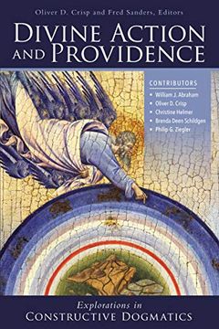 portada Divine Action and Providence: Explorations in Constructive Dogmatics (Los Angeles Theology Conference Series) (in English)