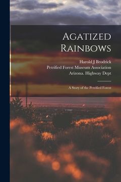 portada Agatized Rainbows: a Story of the Petrified Forest (in English)