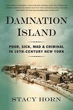 portada Damnation Island: Poor, Sick, Mad, and Criminal in 19Th-Century new York (en Inglés)
