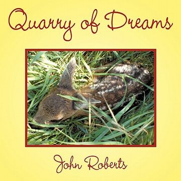 portada quarry of dreams (en Inglés)