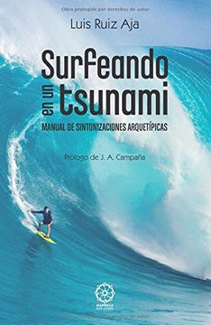 portada Surfeando en un Tsunami