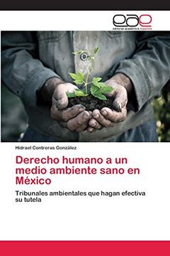 portada Derecho Humano a un Medio Ambiente Sano en México
