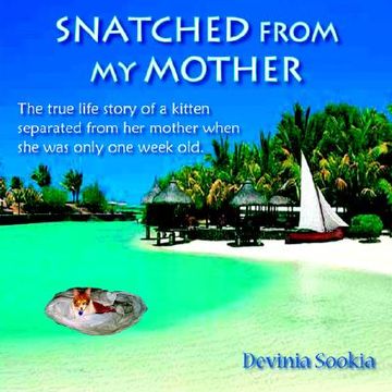 portada snatched from my mother: the true life story of a kitten separated from her mother when she was only one week old . (en Inglés)