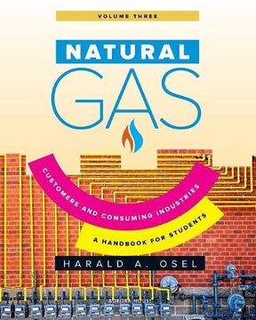 portada Natural Gas: Consumers and Consuming Industry
