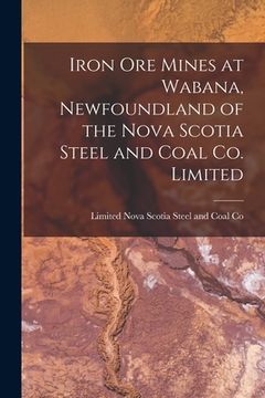 portada Iron Ore Mines at Wabana, Newfoundland of the Nova Scotia Steel and Coal Co. Limited [microform] (en Inglés)