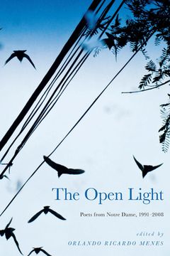 portada The Open Light: Poets from Notre Dame, 1991-2008 (in English)